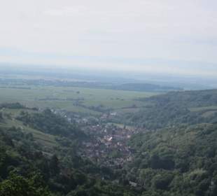  Burgruine Spesburg Blick auf Andlau