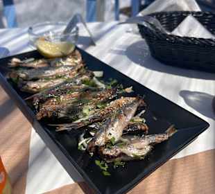 Gastro