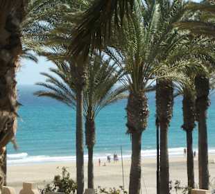 Wunderschöner Strand