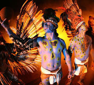 Xcaret Park (Tier-und Naturpark, super Abendshow)