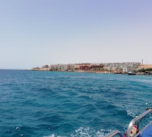Schnorcheln Hausriff Beach Albatros Palace Resort Hurghada