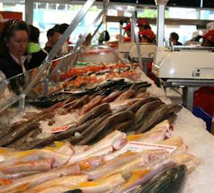 Stand auf dem Sydney Fish Market