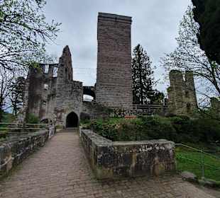 Burgruine Zavelstein