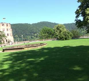 Schloss Heidelberg