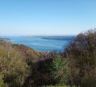 Höhengasthaus Haldenhof in Überlingen