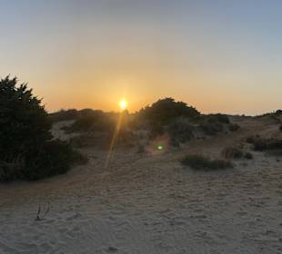Strand La Barrosa