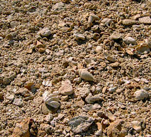 Tauchen Beachsafari