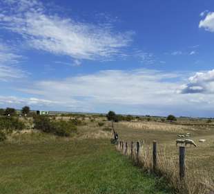 Strand Fehmarn