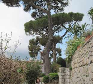 Auf dem Weg zu Arco Naturale