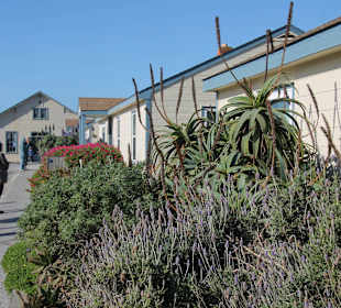 Pigeon Point Lighthouse