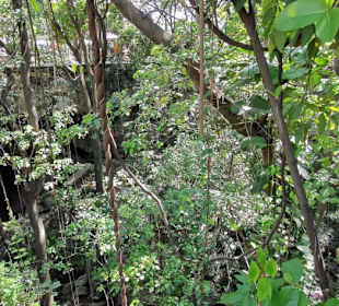 Ausflug zum National Park Los Tres Ojos mit Andy