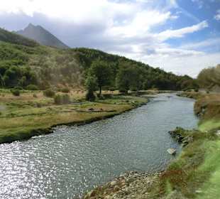 Natur pur an der Strecke