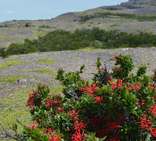 Park Narodowy Torres del Paine