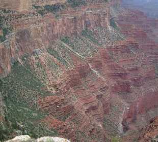 Parco nazionale Grand Canyon