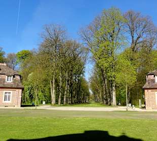 Blick in eine der sternförmigen Alleen