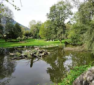 Impressionen aus dem Zoo Salzburg