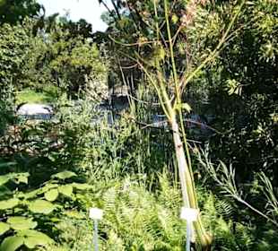 Botanischer Garten