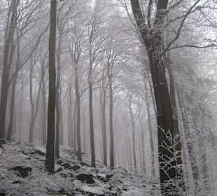 W drodzę na Ślężę