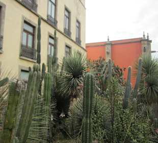 Der Ausgang mit Kakteengarten