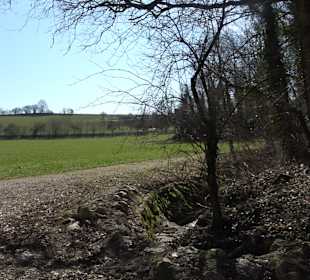 Fürstlicher Park Inzigkofen