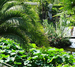 Im Palmengarten von Schloss Trauttmansdorff