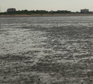 Wattenmeer-Wanderung an der Nordsee bei Cuxhaven