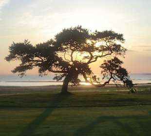 Sonnenuntergang am Öresund 
