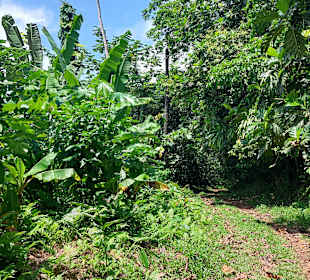 Parque Natural Obô do Príncipe