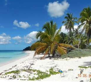 Insel Saona