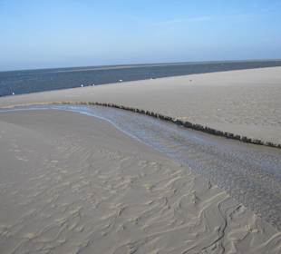 Amrum, Westseite, Strand- und Dünenbereich