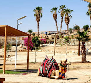 Totes Meer / Dead Sea / Kalia Beach
