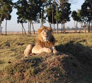 Eindrücke aus der Wildnis