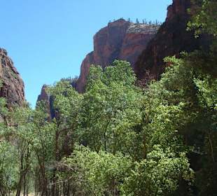 Parco nazionale Zion
