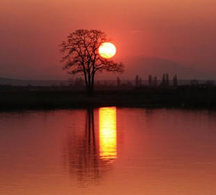 Sonnenuntergang (c)Norbert Jandl