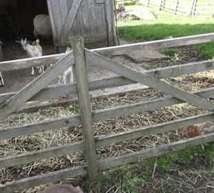 Hohenloher Freilandmuseum