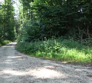 Waldlehrpfad St. Johann