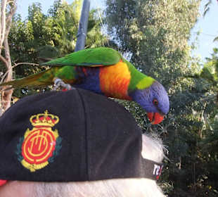 Dem Lori macht es Soass