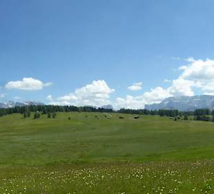 Auf der Seiser Alm