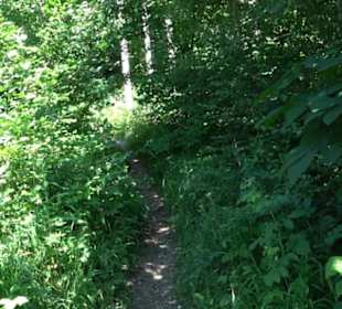 Ruine Hohenmelchingen