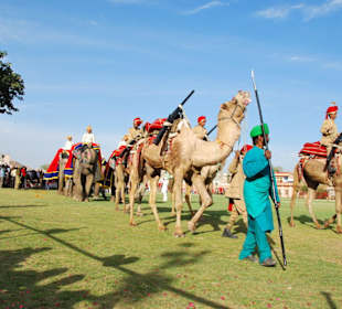 Elefant Festival in Jaipur