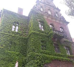 Stare Miasto Wrocław
