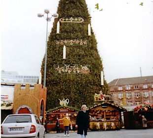 Der größte Weihnachtsbaum der Welt