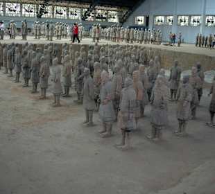 Estos los puedes ver de cerca