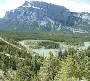 Hoodoos mit Bow River