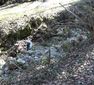 Steinwiese an der Donau