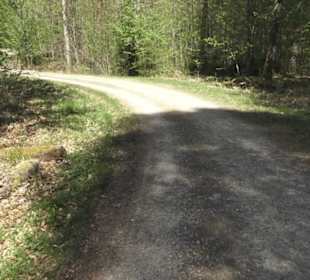 Wanderweg Hochgehwachsen