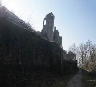 Burgruine Neuscharfeneck