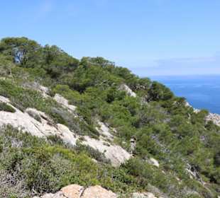 Umgebung Leuchtturm  Cala Ratjada
