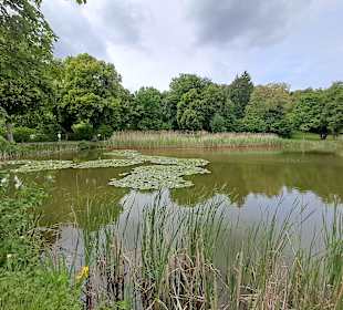 Seewoog in Ramstein-Miesenbach