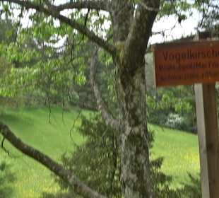Waldlehrpfad in Tieringen